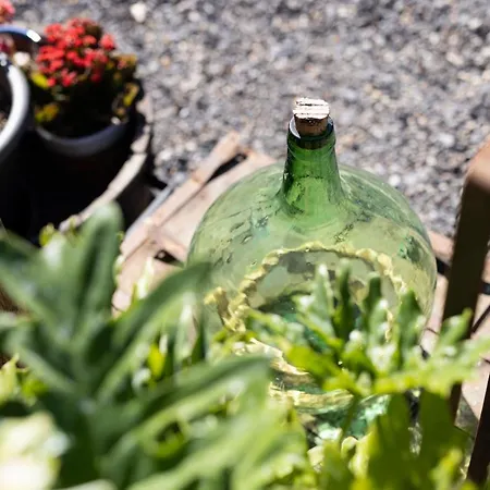 Latas Del Almendro 2 Prázdninový dům Santiago del Teide