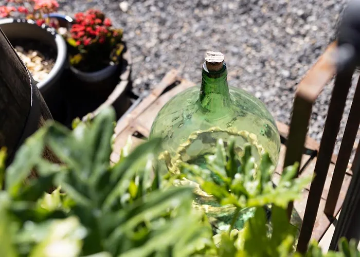 Latas Del Almendro 2 Semesterbostad Santiago del Teide