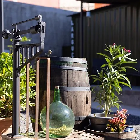 Latas Del Almendro 2 * Santiago del Teide